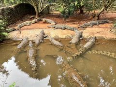 -海南热带野生动植物园