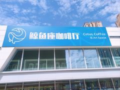 -Cetus coffee鲸鱼座咖啡·拼豆(二仙桥公园店)