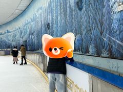 -世界之窗阿尔卑斯冰雪世界