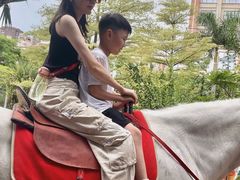 -灵玲国际马戏城