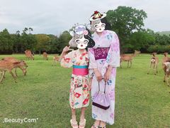 -枫雅和服体验(奈良店)