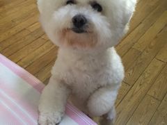 -唐小姐の猫狗洗护·购宠旗舰店(周浦万达店)