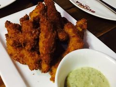 -百好乐宠物友好餐厅(朝外大街店)