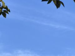 -辛庄国际文化艺术区