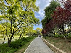 -大望京公园