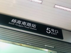 -杨高南路(地铁站)