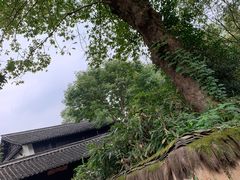 -法云安缦酒店