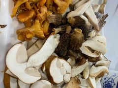 -蘑统田下·野生菌火锅