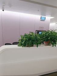 -南京市妇幼保健院(丁家庄院区)