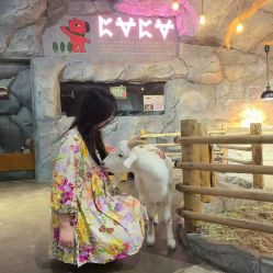 -Zoolung Zoolung动物主题公园(海信广场店)