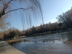 -西安市长乐公园