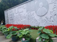 -陈家山荷花公园