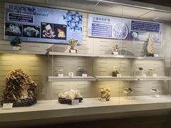 -恩格贝生态旅游区