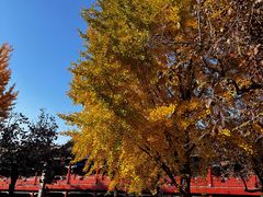 -北京石刻艺术博物馆(五塔寺)