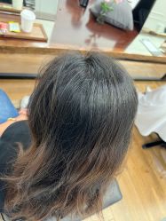 -程Studio