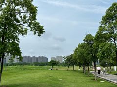 -洋湖国家湿地公园