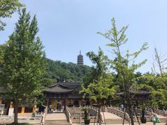 -焦山风景区