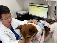 -全心全意动物诊疗中心医院(北苑店)