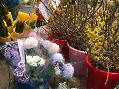 -循礼门鲜花花市(武汉循礼门店)