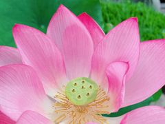 -宁国禅寺·停车场