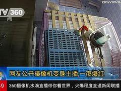 -波姐宠物家庭寄养