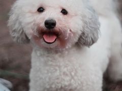 -佳雯宠物医院(四明中路分院)