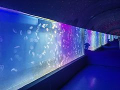 -左海海底世界