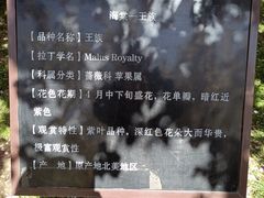 -海棠花溪(元大都城垣遗址公园)