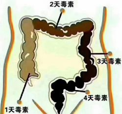-香薇妮丝·定制减肥·身材管理