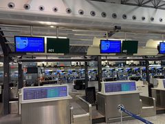 -米兰马尔彭萨国际机场