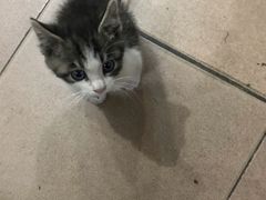 -稷泽·海丽宾雅温泉度假酒店