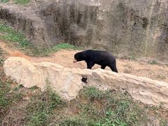 -杭州野生动物世界