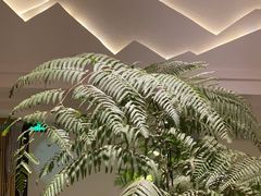 -玲珑时光保健会所(天河南路店)