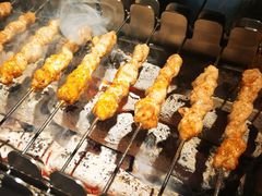 呼伦贝尔羊肉串-很久以前羊肉串(中山公园店)