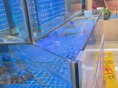 -同喜烤鸭店(光芒店)