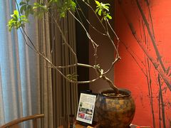 -蘇锦宴·淮扬菜烤鸭·小院(三元桥霄云路店)
