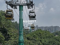 -广州长隆野生动物世界