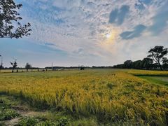 -嘉北郊野公园