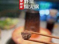 攀枝花盐边腊排骨-攀枝花野菜铜火锅(万科凯德店)