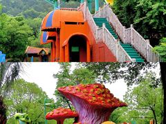 -苏州乐园森林水世界