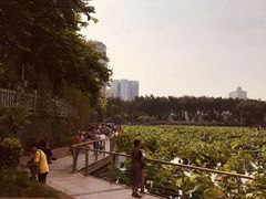 -潘塘公园