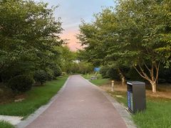 -澹台湖公园