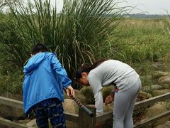 -吴淞炮台湾湿地森林公园烧烤区