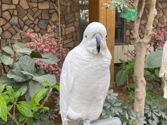 -南宫五洲植物乐园