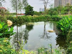 -那考河湿地公园