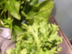 -王家渡火锅店(怀柔迎宾北路店)