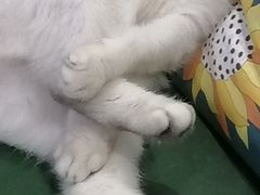 -FEELINGME乐刻包月私教馆·健身(真北华润万家店)