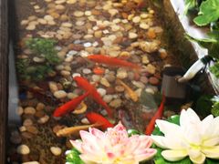 云之南内许愿池-云之南(八里庄店)