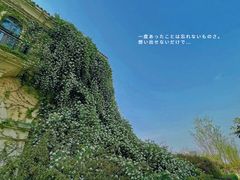 -府河摄影公园