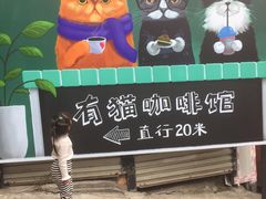 -有猫主题·治愈系猫咖(曾厝垵店)